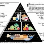 Food Pyramid 1992